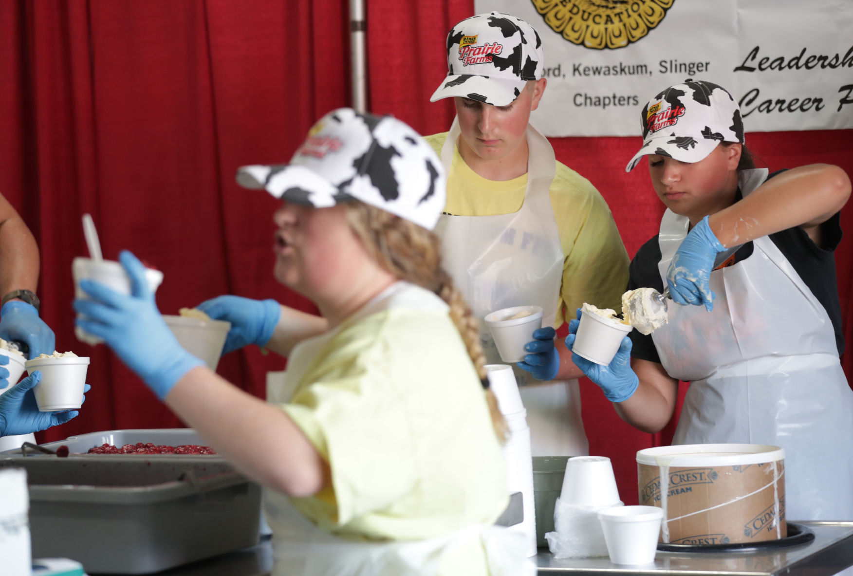 Wisconsin State Fair